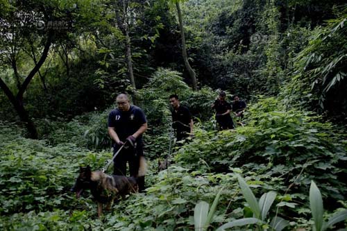 搜捕現(xiàn)場